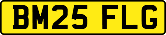 BM25FLG