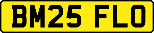 BM25FLO