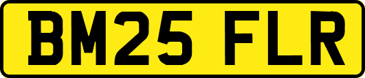 BM25FLR
