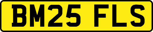 BM25FLS