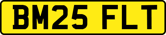 BM25FLT