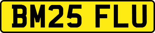 BM25FLU