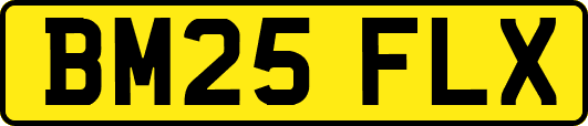 BM25FLX