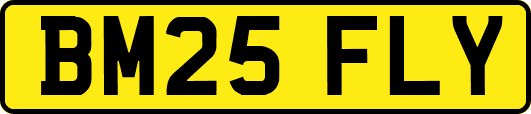 BM25FLY