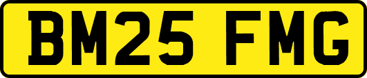 BM25FMG