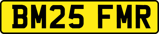 BM25FMR