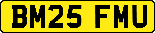 BM25FMU