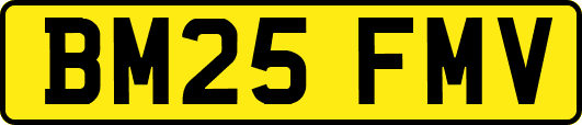 BM25FMV