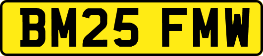BM25FMW