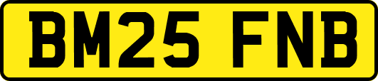 BM25FNB