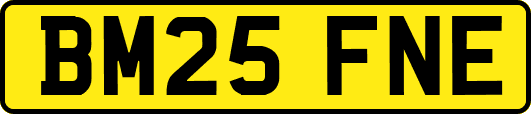 BM25FNE