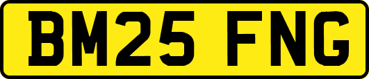 BM25FNG