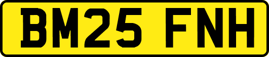 BM25FNH