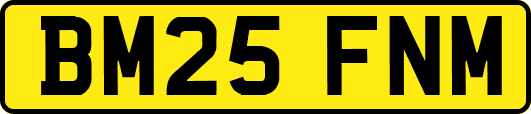 BM25FNM