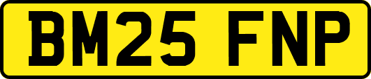 BM25FNP