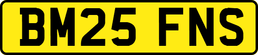 BM25FNS