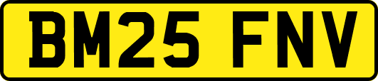 BM25FNV