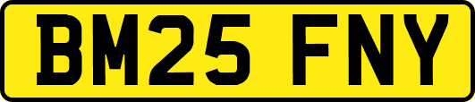 BM25FNY