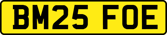 BM25FOE