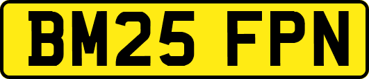BM25FPN