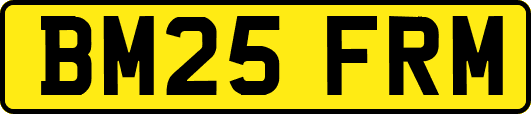 BM25FRM
