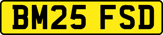 BM25FSD