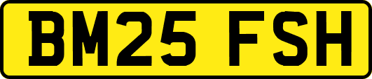 BM25FSH