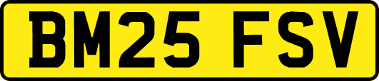 BM25FSV