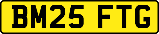 BM25FTG