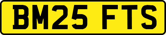 BM25FTS