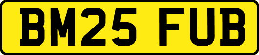 BM25FUB