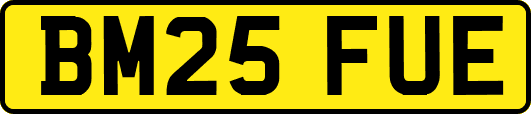 BM25FUE