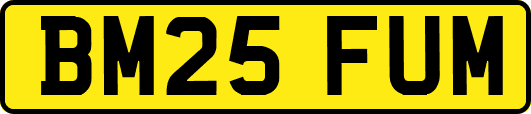 BM25FUM