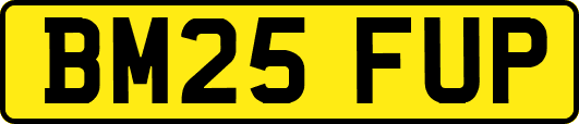 BM25FUP