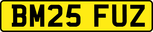 BM25FUZ