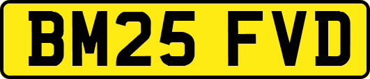 BM25FVD