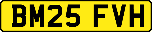 BM25FVH