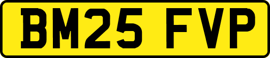 BM25FVP