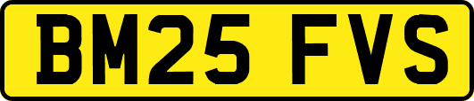 BM25FVS