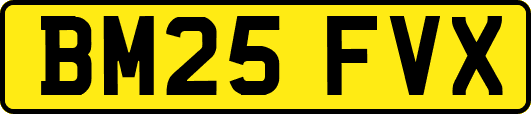 BM25FVX