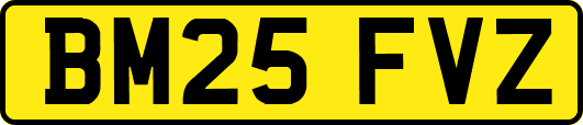BM25FVZ