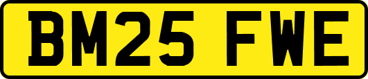 BM25FWE