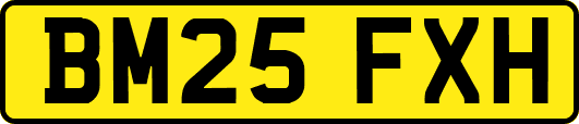 BM25FXH