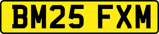 BM25FXM