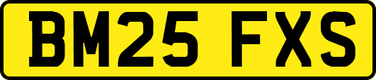 BM25FXS