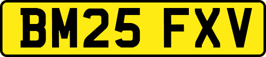 BM25FXV