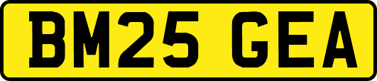 BM25GEA