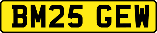 BM25GEW