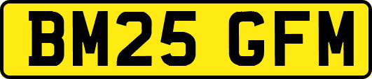 BM25GFM