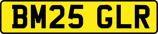 BM25GLR